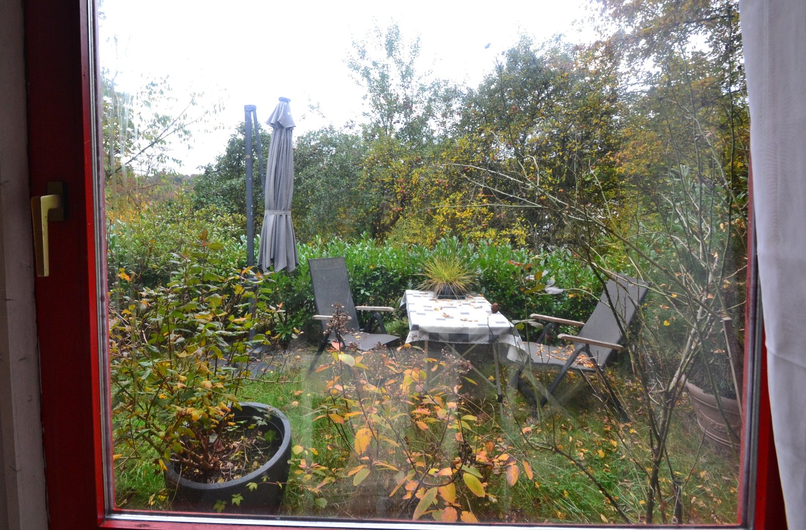 Blick zur Westterrasse Blick zur Westterrasse