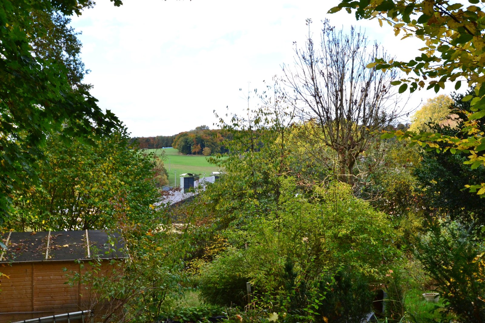 Blickrichting Westen, Waldgebiet beginnt im Süden Blickrichting Westen, Waldgebiet beginnt im Süden