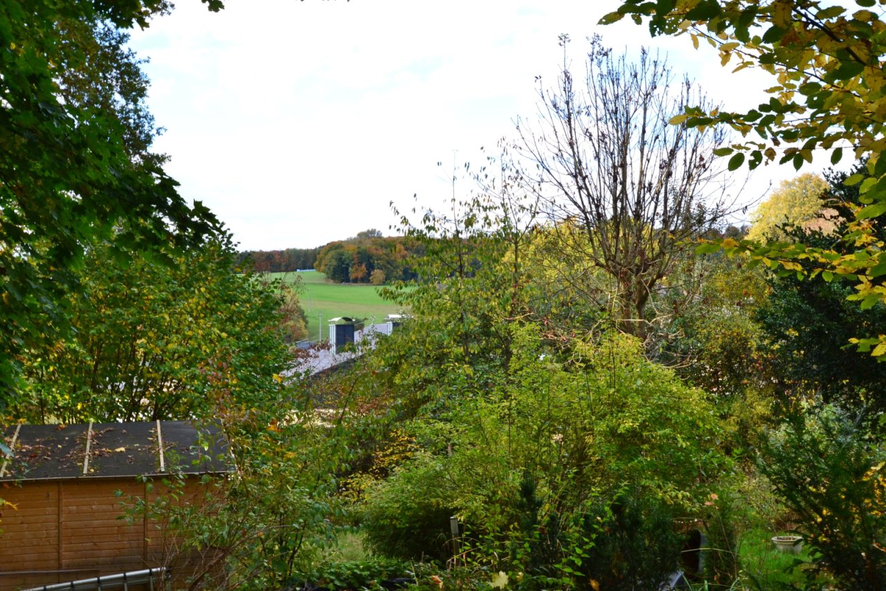 Blickrichting Westen, Waldgebiet beginnt im Süden Blickrichting Westen, Waldgebiet beginnt im Süden