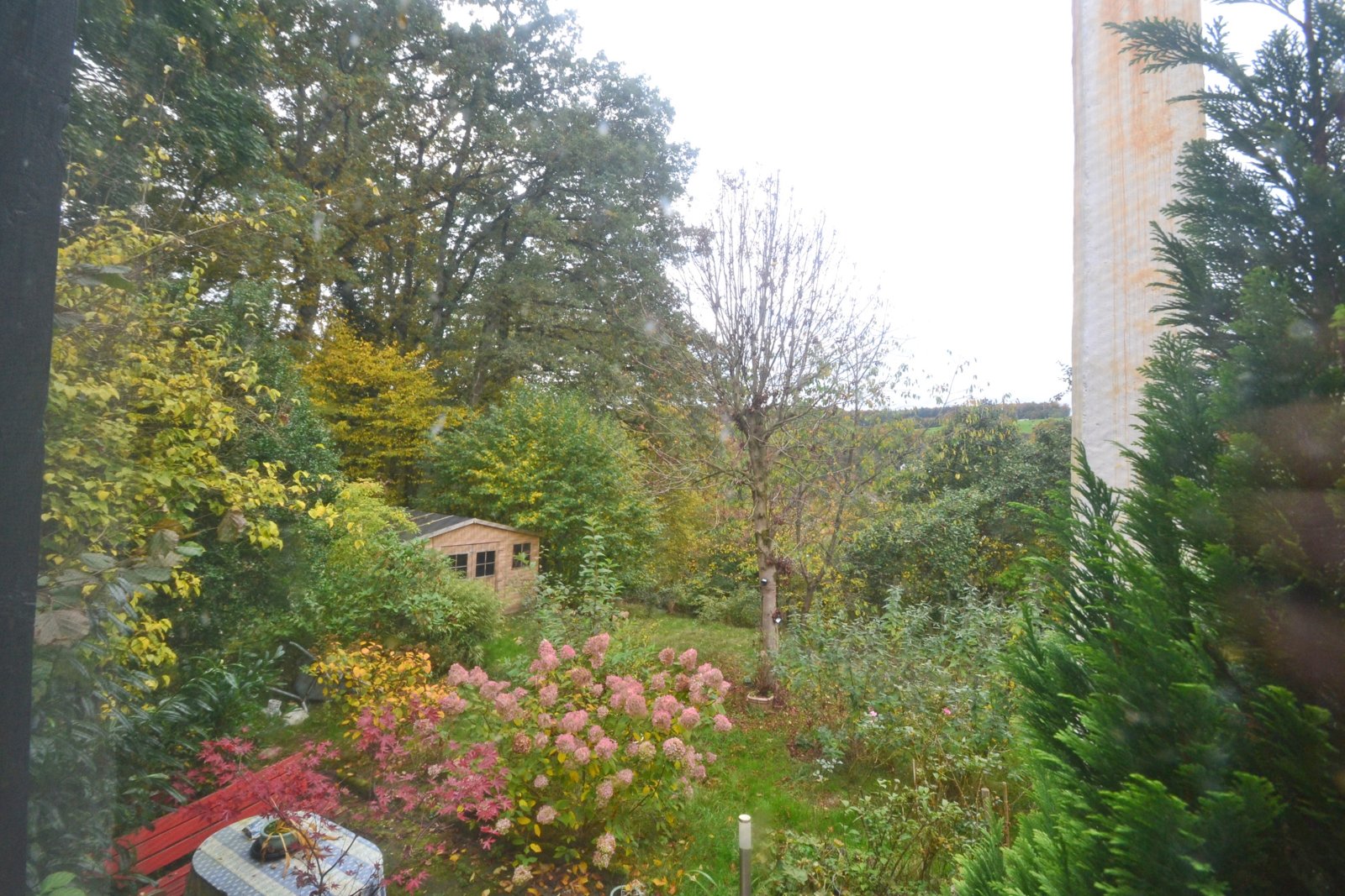 Blick in den Park Blick in den Park
