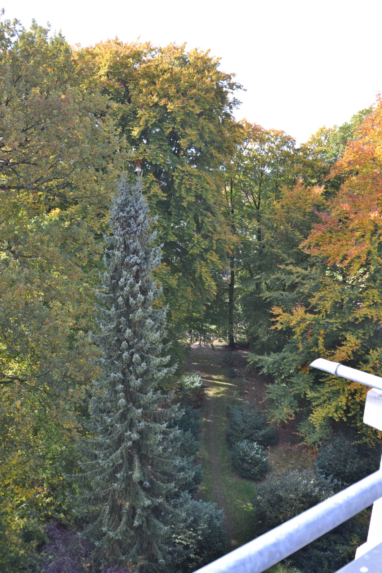 Blick von der Penthouseterrasse in den Park Blick von der Penthouseterrasse in den Park